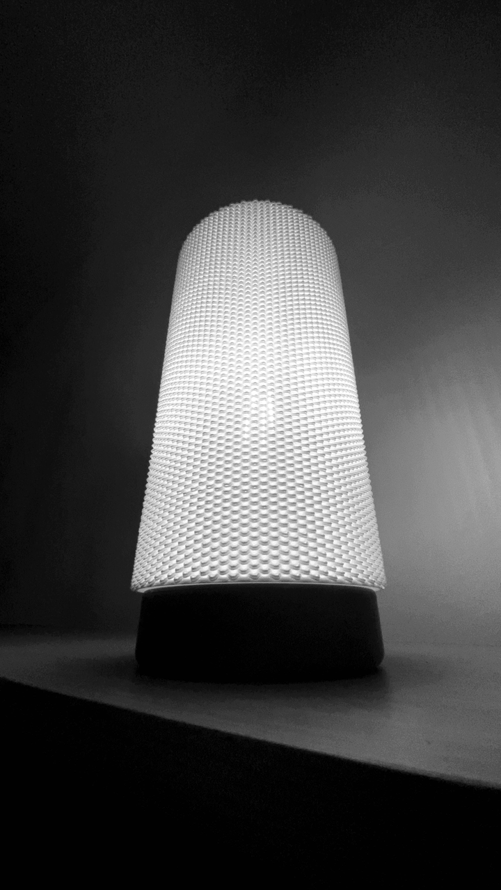 Eva Lamp - vinterro