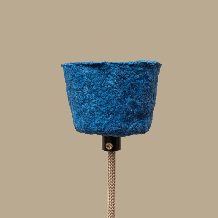 Blue Muffin - vinterro