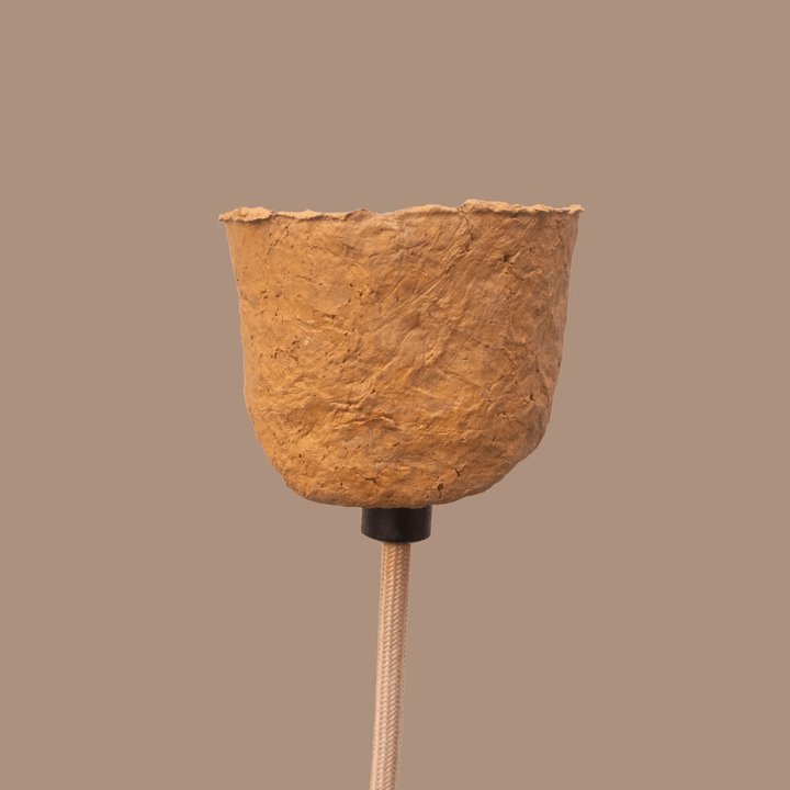 Hasat - vinterro