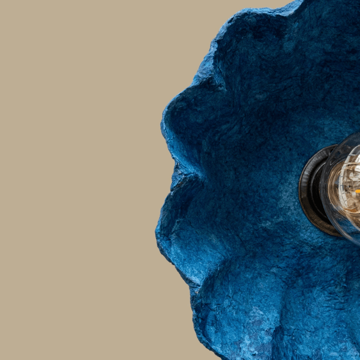 Blue Muffin - vinterro