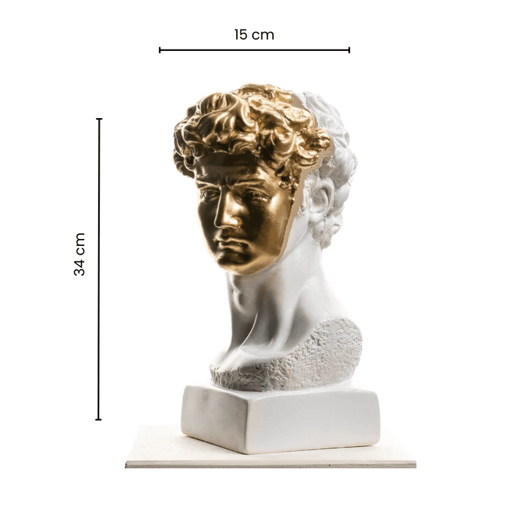 Gold David 2 - vinterro