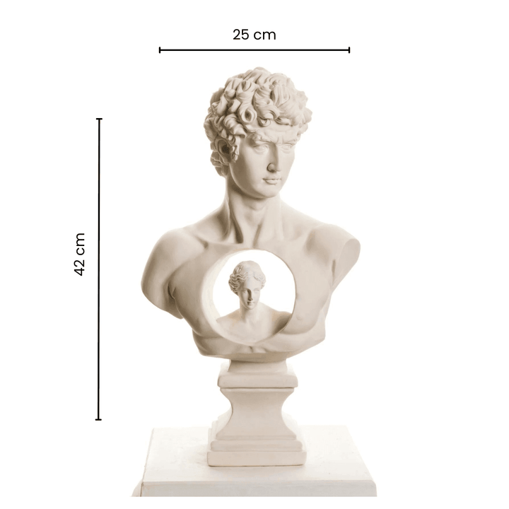 Design David & Afrodit Bust - vinterro