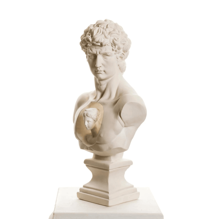 Design David & Afrodit Bust - vinterro