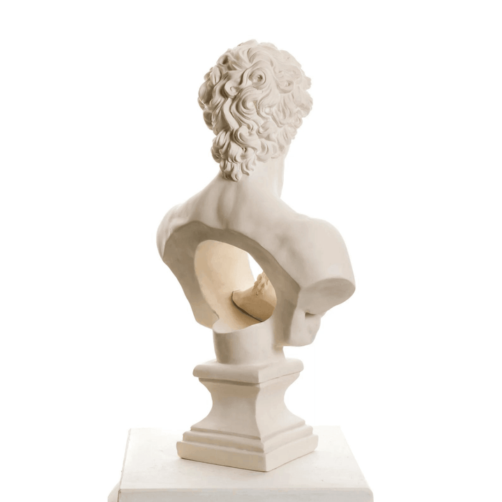 Design David & Afrodit Bust - vinterro