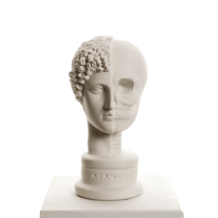 Design Hermes Skull - vinterro